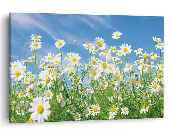 Multicolor_16_X_24_Inch,_Pine_Wood_Framed_Canvas_Paintings_|_For_Home_Decor,_Ready_To_Wall_Hanging,_Premium_Painting_|_For_|_Bedroom,_Living_Room,_Office_Wall_Decoration_|_Wall_Art_Painting,_Ct2007