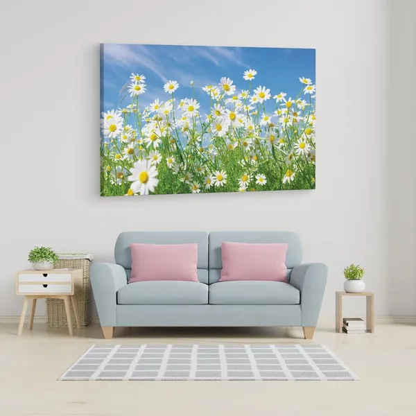 Multicolor_16_X_24_Inch,_Pine_Wood_Framed_Canvas_Paintings_|_For_Home_Decor,_Ready_To_Wall_Hanging,_Premium_Painting_|_For_|_Bedroom,_Living_Room,_Office_Wall_Decoration_|_Wall_Art_Painting,_Ct2007