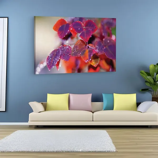 Multicolor_16_X_24_Inch,_Pine_Wood_Framed_Canvas_Paintings_|_For_Home_Decor,_Ready_To_Wall_Hanging,_Premium_Painting_|_For_|_Bedroom,_Living_Room,_Office_Wall_Decoration_|_Wall_Art_Painting,_Ct2013