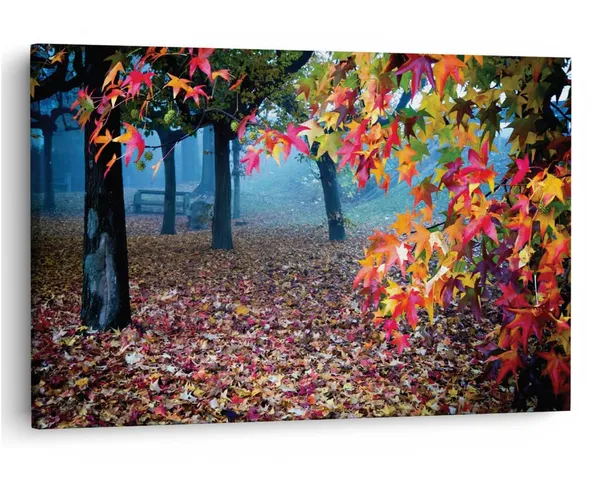 Multicolor_16_X_24_Inch,_Pine_Wood_Framed_Canvas_Paintings_|_For_Home_Decor,_Ready_To_Wall_Hanging,_Premium_Painting_|_For_|_Bedroom,_Living_Room,_Office_Wall_Decoration_|_Wall_Art_Painting,_Ct2015