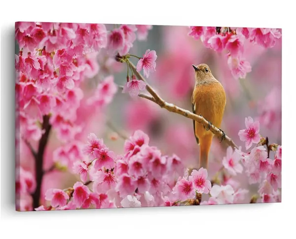 Multicolor_16_X_24_Inch,_Pine_Wood_Framed_Canvas_Paintings_|_For_Home_Decor,_Ready_To_Wall_Hanging,_Premium_Painting_|_For_|_Bedroom,_Living_Room,_Office_Wall_Decoration_|_Wall_Art_Painting,_Ct2020