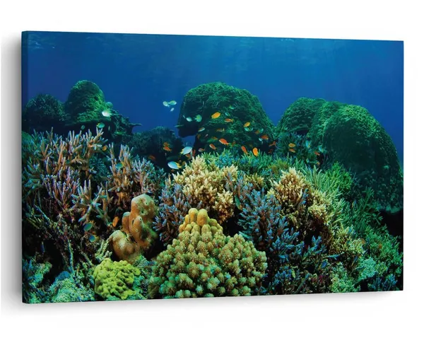Multicolor_16_X_24_Inch,_Pine_Wood_Framed_Canvas_Paintings_|_For_Home_Decor,_Ready_To_Wall_Hanging,_Premium_Painting_|_For_|_Bedroom,_Living_Room,_Office_Wall_Decoration_|_Wall_Art_Painting,_Ct2022