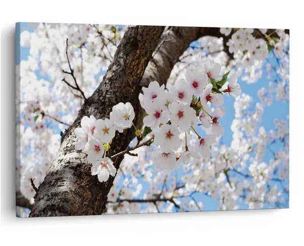Multicolor_16_X_24_Inch,_Pine_Wood_Framed_Canvas_Paintings_|_For_Home_Decor,_Ready_To_Wall_Hanging,_Premium_Painting_|_For_|_Bedroom,_Living_Room,_Office_Wall_Decoration_|_Wall_Art_Painting,_Ct2029
