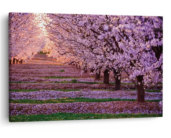 Multicolor_16_X_24_Inch,_Pine_Wood_Framed_Canvas_Paintings_|_For_Home_Decor,_Ready_To_Wall_Hanging,_Premium_Painting_|_For_|_Bedroom,_Living_Room,_Office_Wall_Decoration_|_Wall_Art_Painting,_Ct2034