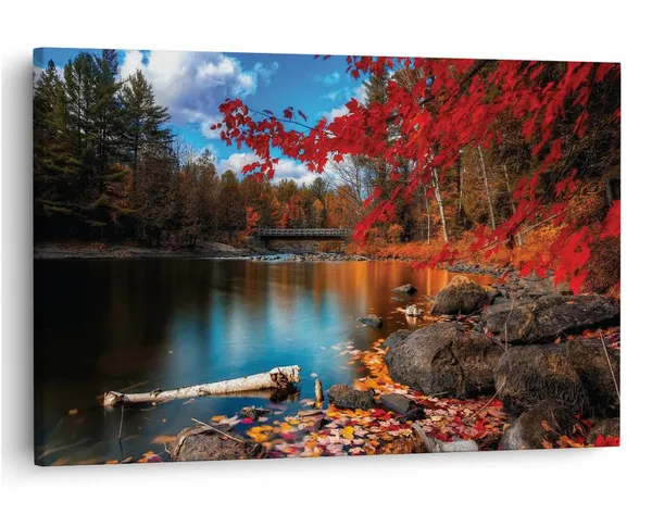 Multicolor_16_X_24_Inch,_Pine_Wood_Framed_Canvas_Paintings_|_For_Home_Decor,_Ready_To_Wall_Hanging,_Premium_Painting_|_For_|_Bedroom,_Living_Room,_Office_Wall_Decoration_|_Wall_Art_Painting,_Ct2035