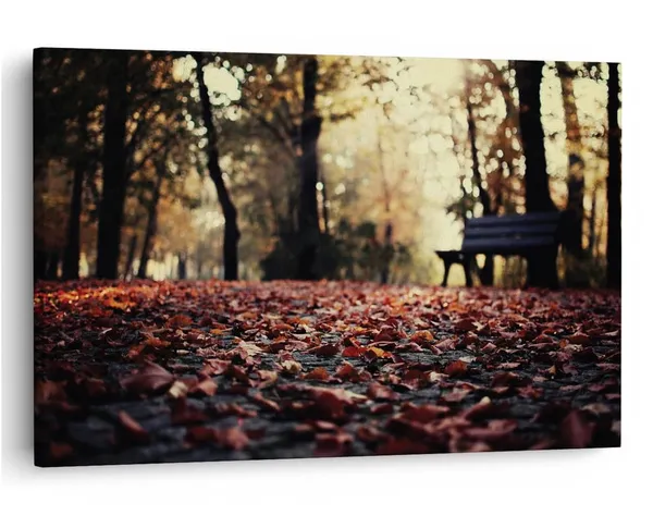 Multicolor_16_X_24_Inch,_Pine_Wood_Framed_Canvas_Paintings_|_For_Home_Decor,_Ready_To_Wall_Hanging,_Premium_Painting_|_For_|_Bedroom,_Living_Room,_Office_Wall_Decoration_|_Wall_Art_Painting,_Ct2039