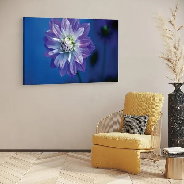 Multicolor_16_X_24_Inch,_Pine_Wood_Framed_Canvas_Paintings_|_For_Home_Decor,_Ready_To_Wall_Hanging,_Premium_Painting_|_For_|_Bedroom,_Living_Room,_Office_Wall_Decoration_|_Wall_Art_Painting,_Ct2040