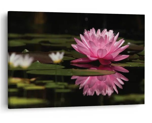 Multicolor_16_X_24_Inch,_Pine_Wood_Framed_Canvas_Paintings_|_For_Home_Decor,_Ready_To_Wall_Hanging,_Premium_Painting_|_For_|_Bedroom,_Living_Room,_Office_Wall_Decoration_|_Wall_Art_Painting,_Ct2045