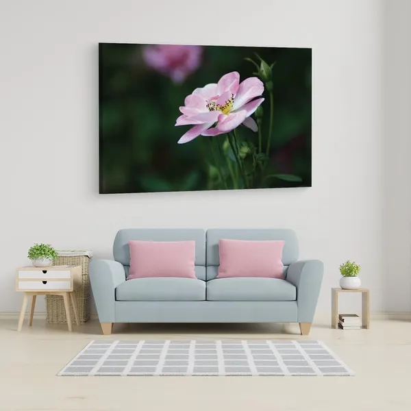 Multicolor_16_X_24_Inch,_Pine_Wood_Framed_Canvas_Paintings_|_For_Home_Decor,_Ready_To_Wall_Hanging,_Premium_Painting_|_For_|_Bedroom,_Living_Room,_Office_Wall_Decoration_|_Wall_Art_Painting,_Ct2047