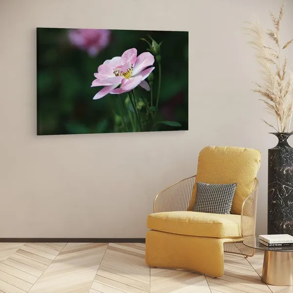 Multicolor_16_X_24_Inch,_Pine_Wood_Framed_Canvas_Paintings_|_For_Home_Decor,_Ready_To_Wall_Hanging,_Premium_Painting_|_For_|_Bedroom,_Living_Room,_Office_Wall_Decoration_|_Wall_Art_Painting,_Ct2047
