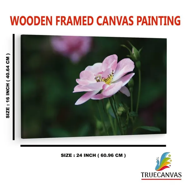 Multicolor_16_X_24_Inch,_Pine_Wood_Framed_Canvas_Paintings_|_For_Home_Decor,_Ready_To_Wall_Hanging,_Premium_Painting_|_For_|_Bedroom,_Living_Room,_Office_Wall_Decoration_|_Wall_Art_Painting,_Ct2047