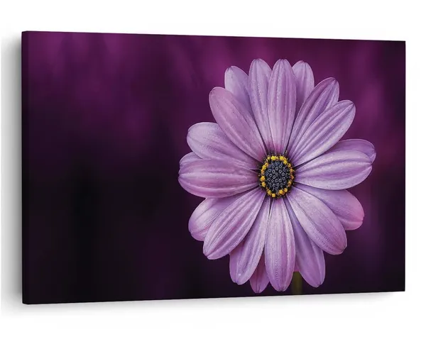Multicolor_16_X_24_Inch,_Pine_Wood_Framed_Canvas_Paintings_|_For_Home_Decor,_Ready_To_Wall_Hanging,_Premium_Painting_|_For_|_Bedroom,_Living_Room,_Office_Wall_Decoration_|_Wall_Art_Painting,_Ct2048