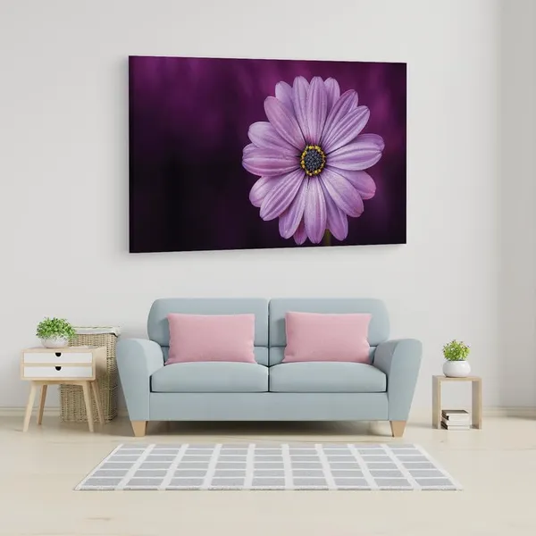 Multicolor_16_X_24_Inch,_Pine_Wood_Framed_Canvas_Paintings_|_For_Home_Decor,_Ready_To_Wall_Hanging,_Premium_Painting_|_For_|_Bedroom,_Living_Room,_Office_Wall_Decoration_|_Wall_Art_Painting,_Ct2048