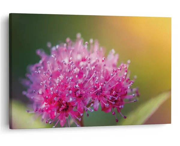 Multicolor_16_X_24_Inch,_Pine_Wood_Framed_Canvas_Paintings_|_For_Home_Decor,_Ready_To_Wall_Hanging,_Premium_Painting_|_For_|_Bedroom,_Living_Room,_Office_Wall_Decoration_|_Wall_Art_Painting,_Ct2049