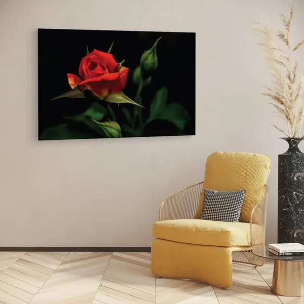 Multicolor_16_X_24_Inch,_Pine_Wood_Framed_Canvas_Paintings_|_For_Home_Decor,_Ready_To_Wall_Hanging,_Premium_Painting_|_For_|_Bedroom,_Living_Room,_Office_Wall_Decoration_|_Wall_Art_Painting,_Ct2050