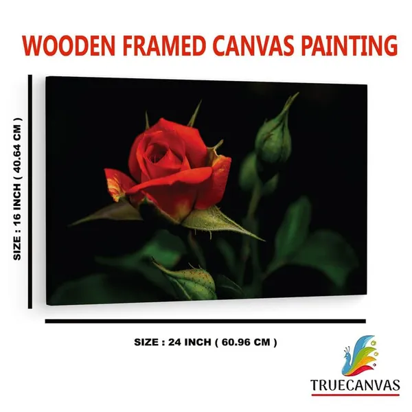 Multicolor_16_X_24_Inch,_Pine_Wood_Framed_Canvas_Paintings_|_For_Home_Decor,_Ready_To_Wall_Hanging,_Premium_Painting_|_For_|_Bedroom,_Living_Room,_Office_Wall_Decoration_|_Wall_Art_Painting,_Ct2050
