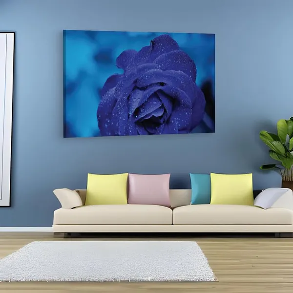 Multicolor_16_X_24_Inch,_Pine_Wood_Framed_Canvas_Paintings_|_For_Home_Decor,_Ready_To_Wall_Hanging,_Premium_Painting_|_For_|_Bedroom,_Living_Room,_Office_Wall_Decoration_|_Wall_Art_Painting,_Ct2052