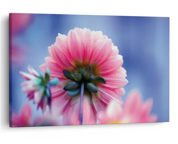 Multicolor_16_X_24_Inch,_Pine_Wood_Framed_Canvas_Paintings_|_For_Home_Decor,_Ready_To_Wall_Hanging,_Premium_Painting_|_For_|_Bedroom,_Living_Room,_Office_Wall_Decoration_|_Wall_Art_Painting,_Ct2054