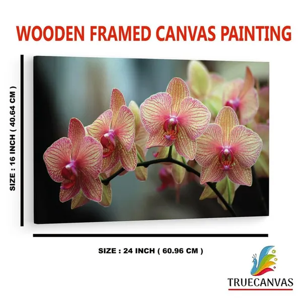 Multicolor_16_X_24_Inch,_Pine_Wood_Framed_Canvas_Paintings_|_For_Home_Decor,_Ready_To_Wall_Hanging,_Premium_Painting_|_For_|_Bedroom,_Living_Room,_Office_Wall_Decoration_|_Wall_Art_Painting,_Ct2055