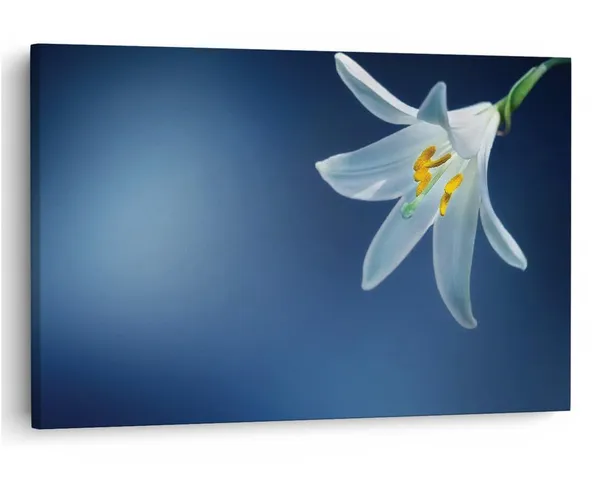 Multicolor_16_X_24_Inch,_Pine_Wood_Framed_Canvas_Paintings_|_For_Home_Decor,_Ready_To_Wall_Hanging,_Premium_Painting_|_For_|_Bedroom,_Living_Room,_Office_Wall_Decoration_|_Wall_Art_Painting,_Ct2056