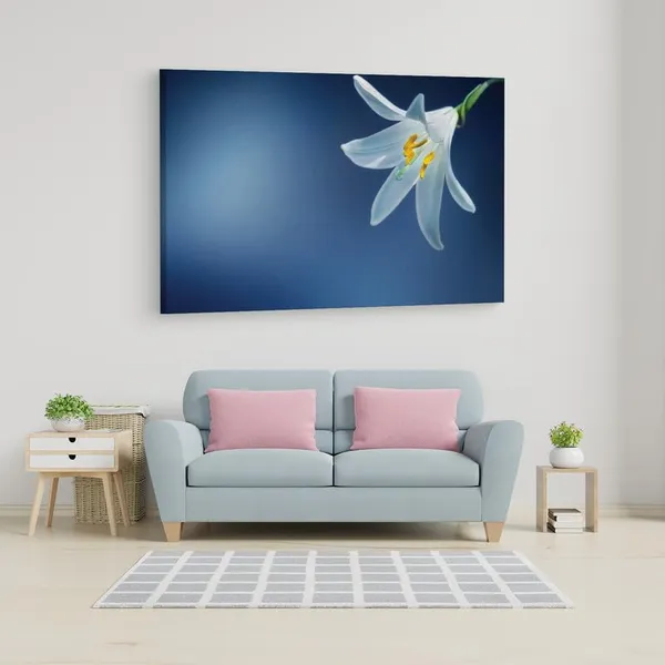 Multicolor_16_X_24_Inch,_Pine_Wood_Framed_Canvas_Paintings_|_For_Home_Decor,_Ready_To_Wall_Hanging,_Premium_Painting_|_For_|_Bedroom,_Living_Room,_Office_Wall_Decoration_|_Wall_Art_Painting,_Ct2056
