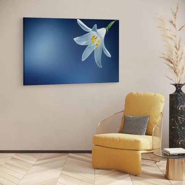 Multicolor_16_X_24_Inch,_Pine_Wood_Framed_Canvas_Paintings_|_For_Home_Decor,_Ready_To_Wall_Hanging,_Premium_Painting_|_For_|_Bedroom,_Living_Room,_Office_Wall_Decoration_|_Wall_Art_Painting,_Ct2056