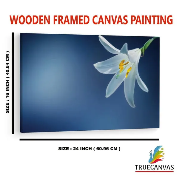 Multicolor_16_X_24_Inch,_Pine_Wood_Framed_Canvas_Paintings_|_For_Home_Decor,_Ready_To_Wall_Hanging,_Premium_Painting_|_For_|_Bedroom,_Living_Room,_Office_Wall_Decoration_|_Wall_Art_Painting,_Ct2056