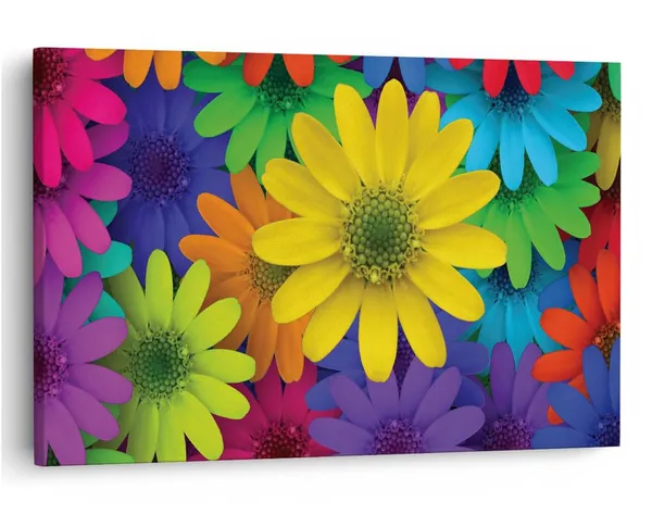 Multicolor_16_X_24_Inch,_Pine_Wood_Framed_Canvas_Paintings_|_For_Home_Decor,_Ready_To_Wall_Hanging,_Premium_Painting_|_For_|_Bedroom,_Living_Room,_Office_Wall_Decoration_|_Wall_Art_Painting,_Ct2059