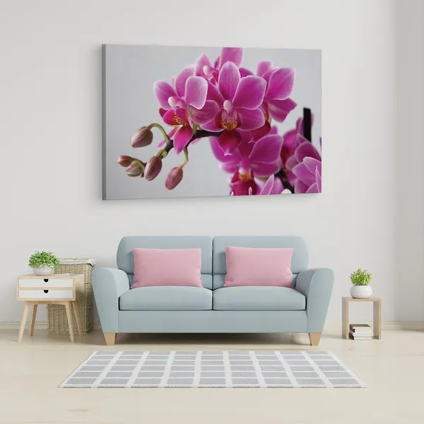 Multicolor_16_X_24_Inch,_Pine_Wood_Framed_Canvas_Paintings_|_For_Home_Decor,_Ready_To_Wall_Hanging,_Premium_Painting_|_For_|_Bedroom,_Living_Room,_Office_Wall_Decoration_|_Wall_Art_Painting,_Ct2061