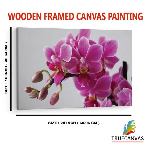 Multicolor_16_X_24_Inch,_Pine_Wood_Framed_Canvas_Paintings_|_For_Home_Decor,_Ready_To_Wall_Hanging,_Premium_Painting_|_For_|_Bedroom,_Living_Room,_Office_Wall_Decoration_|_Wall_Art_Painting,_Ct2061