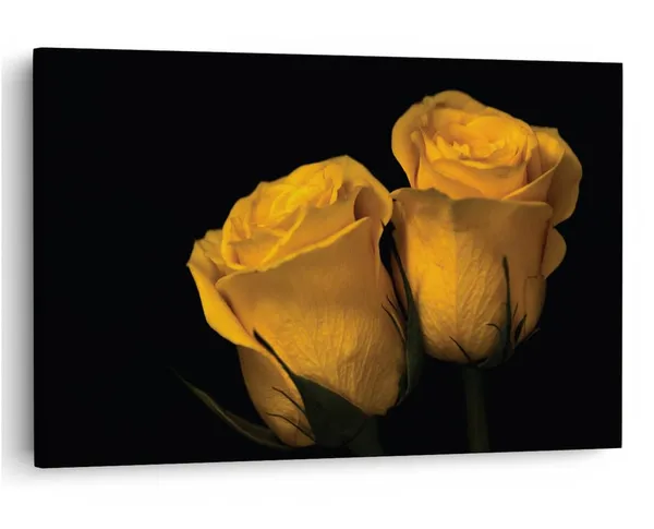 Multicolor_16_X_24_Inch,_Pine_Wood_Framed_Canvas_Paintings_|_For_Home_Decor,_Ready_To_Wall_Hanging,_Premium_Painting_|_For_|_Bedroom,_Living_Room,_Office_Wall_Decoration_|_Wall_Art_Painting,_Ct2063