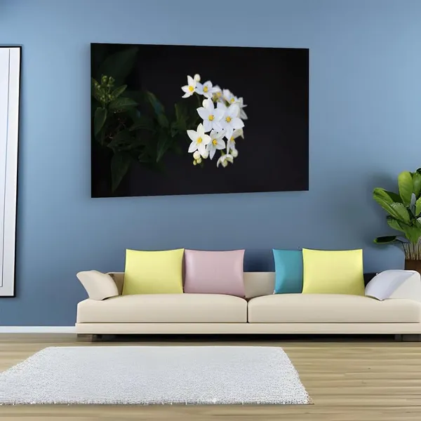 Multicolor_16_X_24_Inch,_Pine_Wood_Framed_Canvas_Paintings_|_For_Home_Decor,_Ready_To_Wall_Hanging,_Premium_Painting_|_For_|_Bedroom,_Living_Room,_Office_Wall_Decoration_|_Wall_Art_Painting,_Ct2065