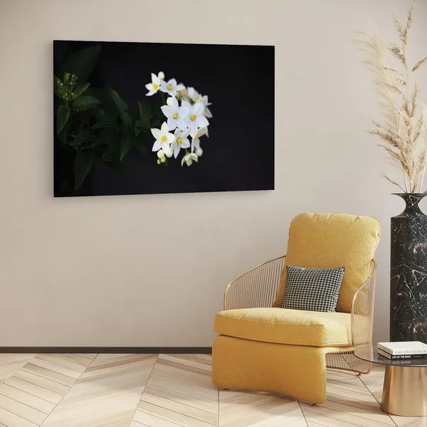 Multicolor_16_X_24_Inch,_Pine_Wood_Framed_Canvas_Paintings_|_For_Home_Decor,_Ready_To_Wall_Hanging,_Premium_Painting_|_For_|_Bedroom,_Living_Room,_Office_Wall_Decoration_|_Wall_Art_Painting,_Ct2065