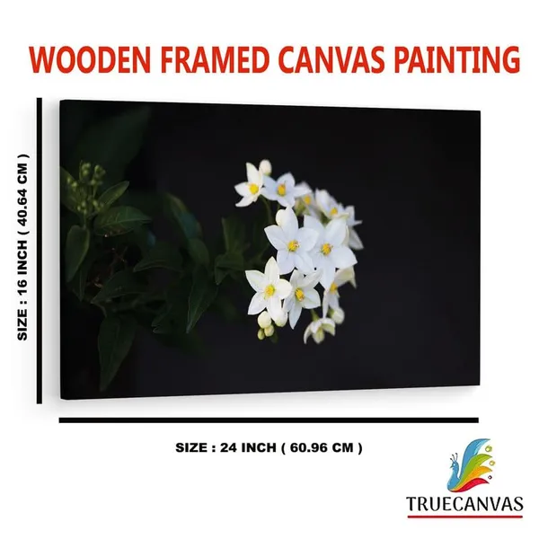 Multicolor_16_X_24_Inch,_Pine_Wood_Framed_Canvas_Paintings_|_For_Home_Decor,_Ready_To_Wall_Hanging,_Premium_Painting_|_For_|_Bedroom,_Living_Room,_Office_Wall_Decoration_|_Wall_Art_Painting,_Ct2065