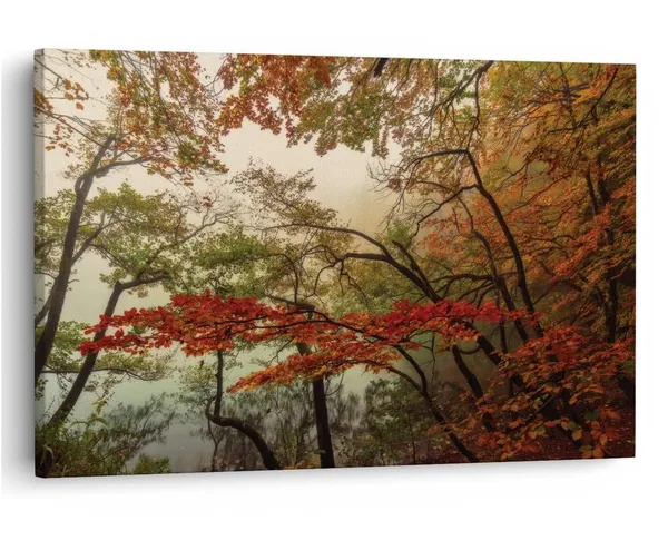 Multicolor_16_X_24_Inch,_Pine_Wood_Framed_Canvas_Paintings_|_For_Home_Decor,_Ready_To_Wall_Hanging,_Premium_Painting_|_For_|_Bedroom,_Living_Room,_Office_Wall_Decoration_|_Wall_Art_Painting,_Ct2068