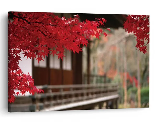 Multicolor_16_X_24_Inch,_Pine_Wood_Framed_Canvas_Paintings_|_For_Home_Decor,_Ready_To_Wall_Hanging,_Premium_Painting_|_For_|_Bedroom,_Living_Room,_Office_Wall_Decoration_|_Wall_Art_Painting,_Ct2069