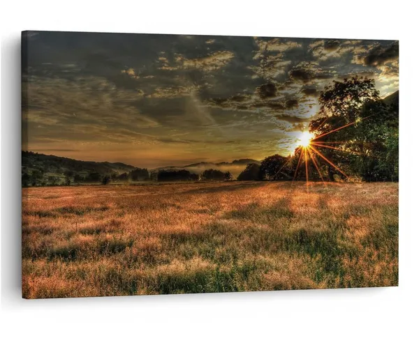 Multicolor_16_X_24_Inch,_Pine_Wood_Framed_Canvas_Paintings_|_For_Home_Decor,_Ready_To_Wall_Hanging,_Premium_Painting_|_For_|_Bedroom,_Living_Room,_Office_Wall_Decoration_|_Wall_Art_Painting,_Ct2071