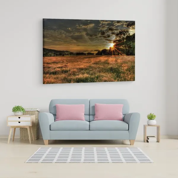 Multicolor_16_X_24_Inch,_Pine_Wood_Framed_Canvas_Paintings_|_For_Home_Decor,_Ready_To_Wall_Hanging,_Premium_Painting_|_For_|_Bedroom,_Living_Room,_Office_Wall_Decoration_|_Wall_Art_Painting,_Ct2071