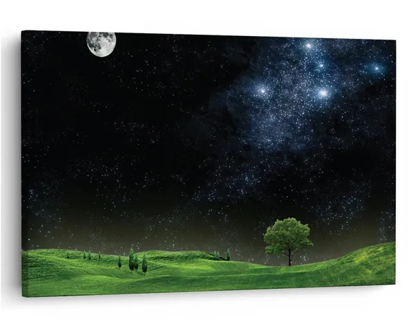 Multicolor_16_X_24_Inch,_Pine_Wood_Framed_Canvas_Paintings_|_For_Home_Decor,_Ready_To_Wall_Hanging,_Premium_Painting_|_For_|_Bedroom,_Living_Room,_Office_Wall_Decoration_|_Wall_Art_Painting,_Ct2078