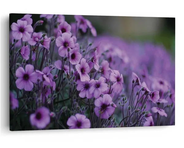 Multicolor_16_X_24_Inch,_Pine_Wood_Framed_Canvas_Paintings_|_For_Home_Decor,_Ready_To_Wall_Hanging,_Premium_Painting_|_For_|_Bedroom,_Living_Room,_Office_Wall_Decoration_|_Wall_Art_Painting,_Ct2080