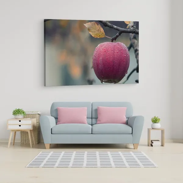 Multicolor_16_X_24_Inch,_Pine_Wood_Framed_Canvas_Paintings_|_For_Home_Decor,_Ready_To_Wall_Hanging,_Premium_Painting_|_For_|_Bedroom,_Living_Room,_Office_Wall_Decoration_|_Wall_Art_Painting,_Ct2083