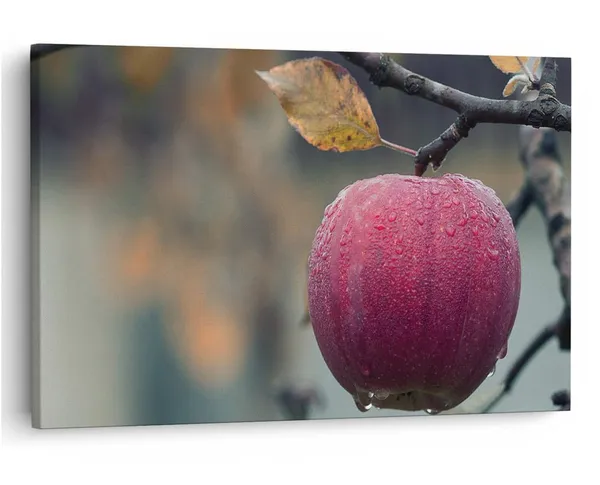 Multicolor_16_X_24_Inch,_Pine_Wood_Framed_Canvas_Paintings_|_For_Home_Decor,_Ready_To_Wall_Hanging,_Premium_Painting_|_For_|_Bedroom,_Living_Room,_Office_Wall_Decoration_|_Wall_Art_Painting,_Ct2083