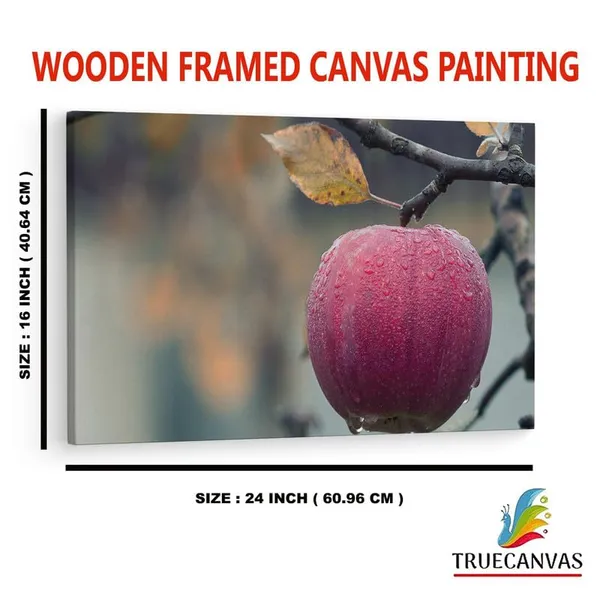 Multicolor_16_X_24_Inch,_Pine_Wood_Framed_Canvas_Paintings_|_For_Home_Decor,_Ready_To_Wall_Hanging,_Premium_Painting_|_For_|_Bedroom,_Living_Room,_Office_Wall_Decoration_|_Wall_Art_Painting,_Ct2083