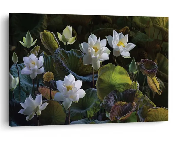 Multicolor_16_X_24_Inch,_Pine_Wood_Framed_Canvas_Paintings_|_For_Home_Decor,_Ready_To_Wall_Hanging,_Premium_Painting_|_For_|_Bedroom,_Living_Room,_Office_Wall_Decoration_|_Wall_Art_Painting,_Ct2093