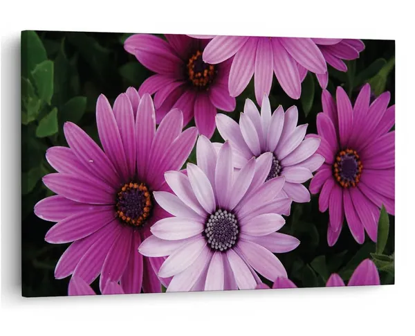 Multicolor_16_X_24_Inch,_Pine_Wood_Framed_Canvas_Paintings_|_For_Home_Decor,_Ready_To_Wall_Hanging,_Premium_Painting_|_For_|_Bedroom,_Living_Room,_Office_Wall_Decoration_|_Wall_Art_Painting,_Ct2100