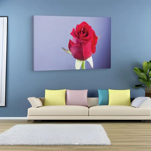 Multicolor_16_X_24_Inch,_Pine_Wood_Framed_Canvas_Paintings_|_For_Home_Decor,_Ready_To_Wall_Hanging,_Premium_Painting_|_For_|_Bedroom,_Living_Room,_Office_Wall_Decoration_|_Wall_Art_Painting,_Ct2102