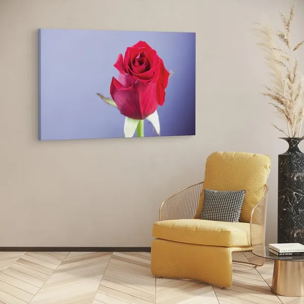 Multicolor_16_X_24_Inch,_Pine_Wood_Framed_Canvas_Paintings_|_For_Home_Decor,_Ready_To_Wall_Hanging,_Premium_Painting_|_For_|_Bedroom,_Living_Room,_Office_Wall_Decoration_|_Wall_Art_Painting,_Ct2102
