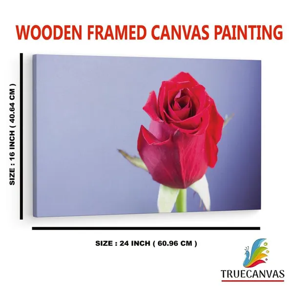 Multicolor_16_X_24_Inch,_Pine_Wood_Framed_Canvas_Paintings_|_For_Home_Decor,_Ready_To_Wall_Hanging,_Premium_Painting_|_For_|_Bedroom,_Living_Room,_Office_Wall_Decoration_|_Wall_Art_Painting,_Ct2102
