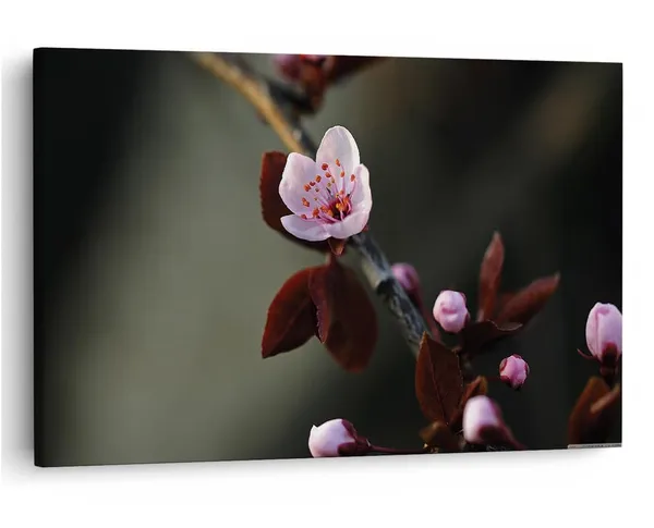 Multicolor_16_X_24_Inch,_Pine_Wood_Framed_Canvas_Paintings_|_For_Home_Decor,_Ready_To_Wall_Hanging,_Premium_Painting_|_For_|_Bedroom,_Living_Room,_Office_Wall_Decoration_|_Wall_Art_Painting,_Ct2104