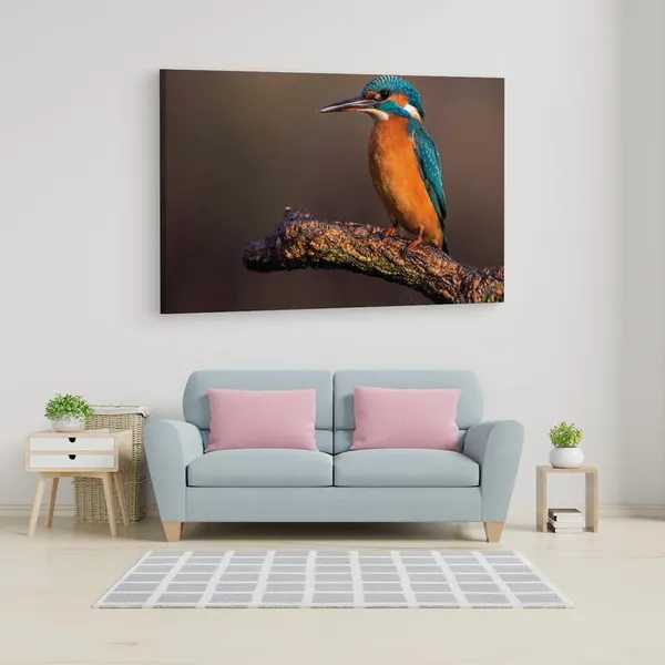 Multicolor_16_X_24_Inch,_Pine_Wood_Framed_Canvas_Paintings_|_For_Home_Decor,_Ready_To_Wall_Hanging,_Premium_Painting_|_For_|_Bedroom,_Living_Room,_Office_Wall_Decoration_|_Wall_Art_Painting,_Ct2105